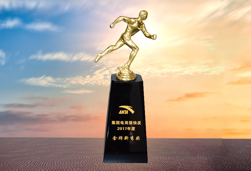 2017年度金牌新秀奖